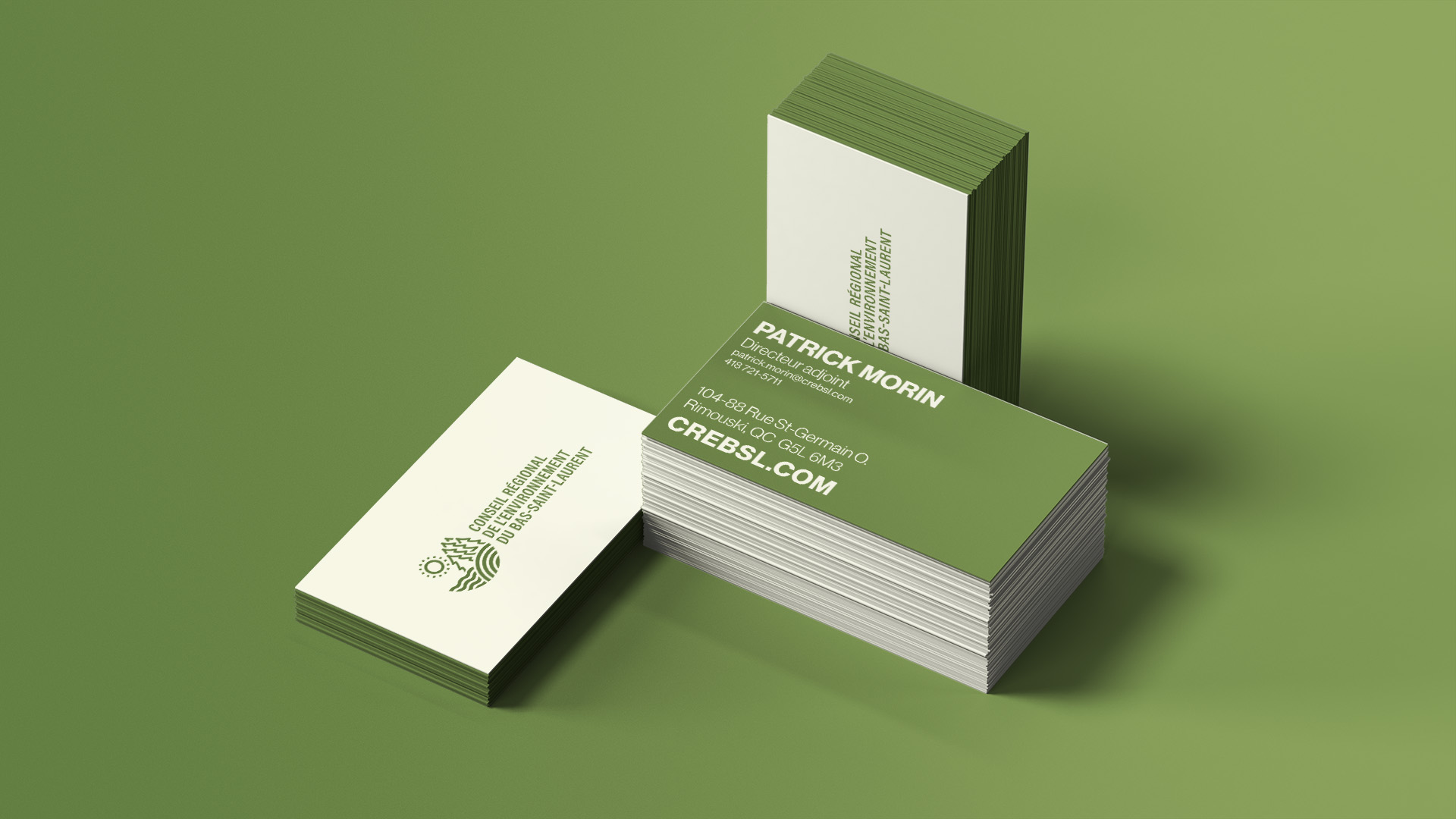 Corporation d'aménagement des espaces verts de Rimouski - Cartes de visite (simulation)