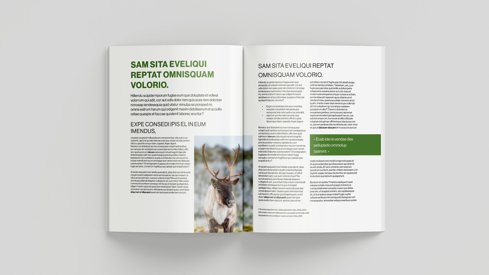 Corporation d'aménagement des espaces verts de Rimouski - Mise en page