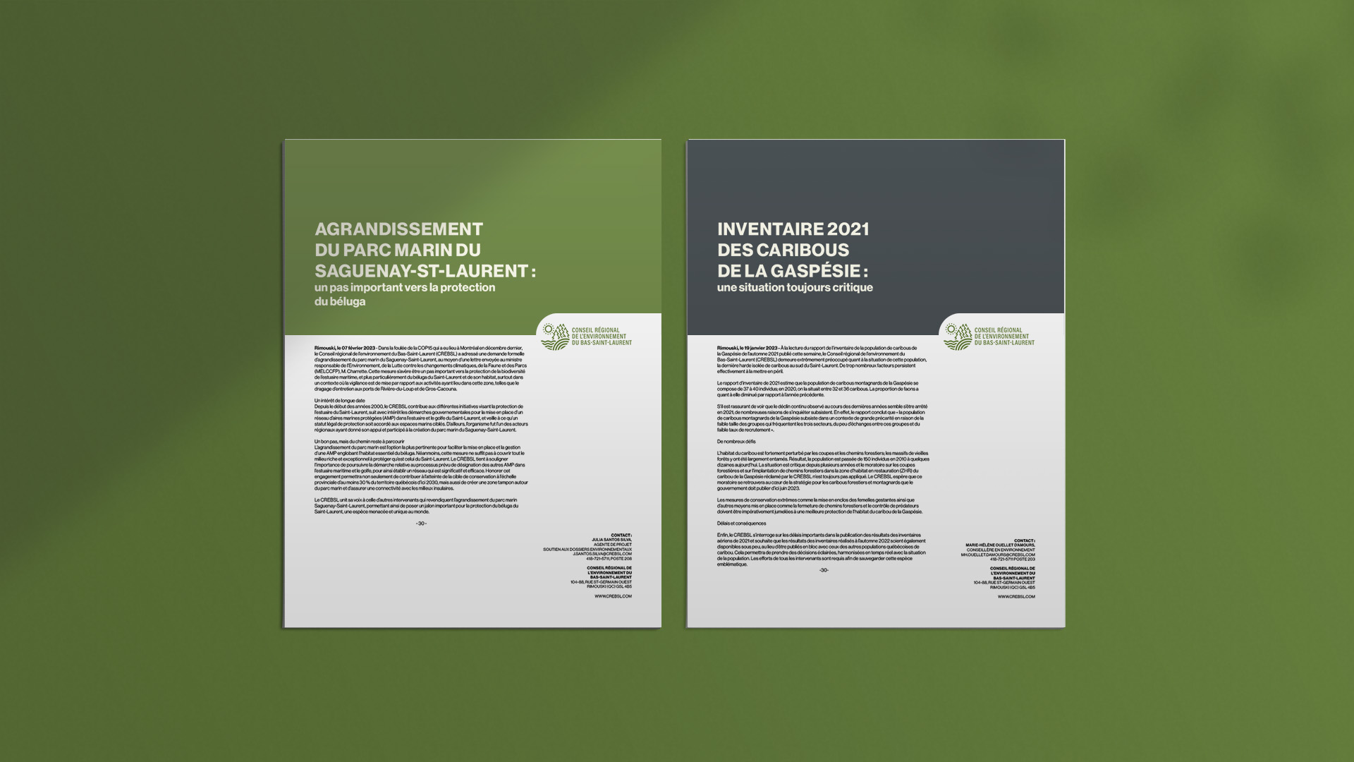 Corporation d'aménagement des espaces verts de Rimouski - Mise en page