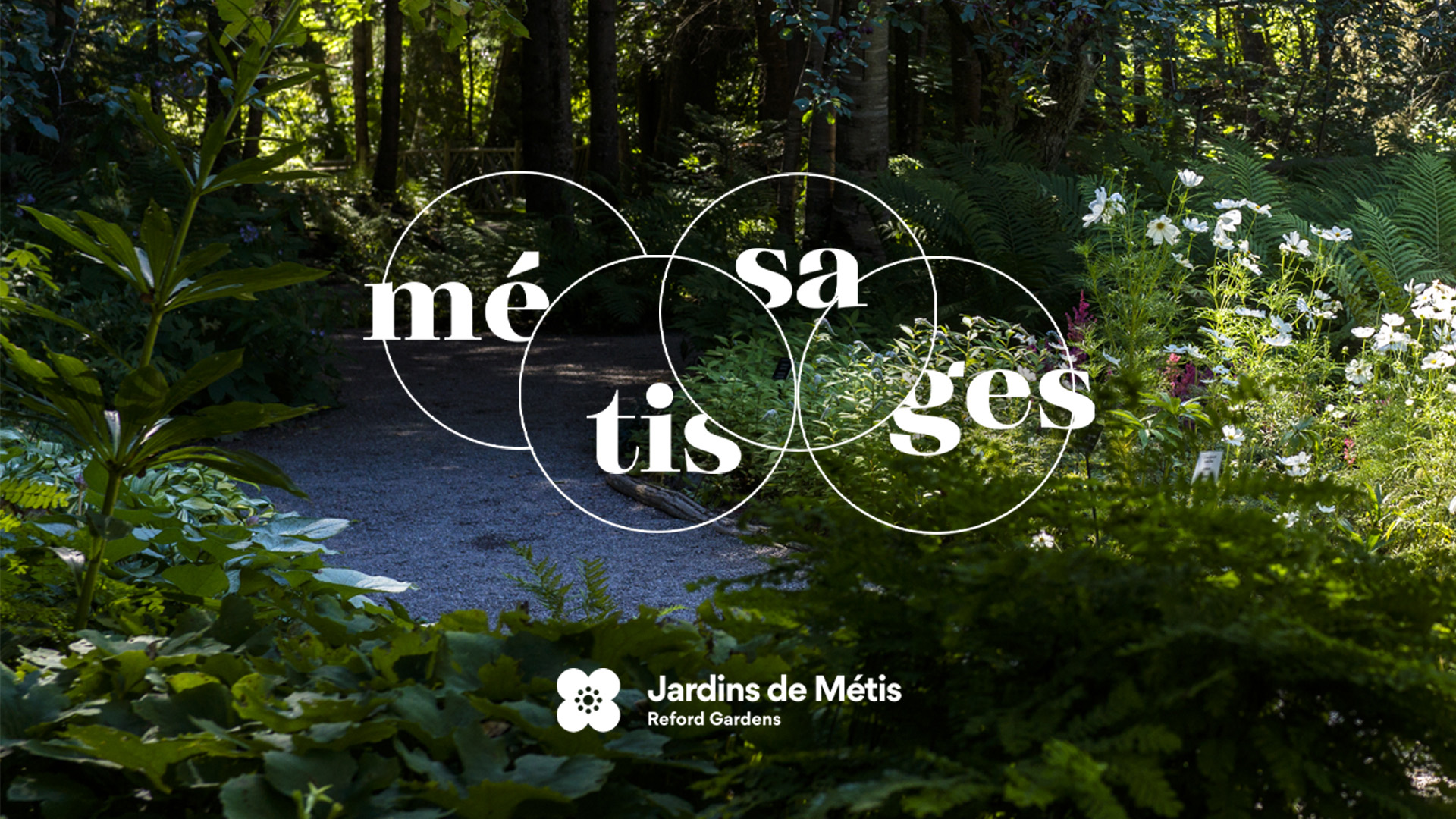 Métissages - couverture