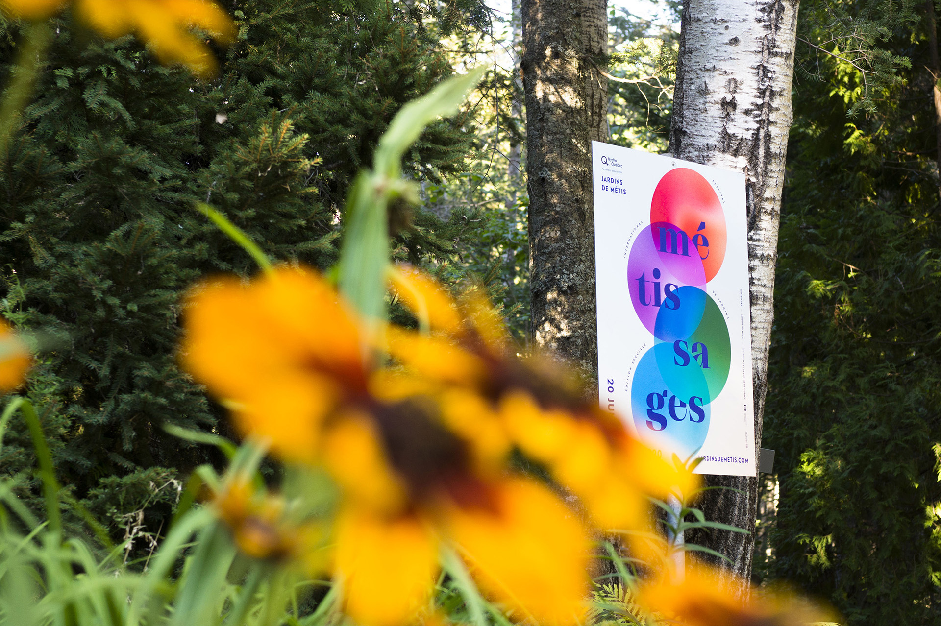 Métissages -  Photo de l'affiche dans une platebande