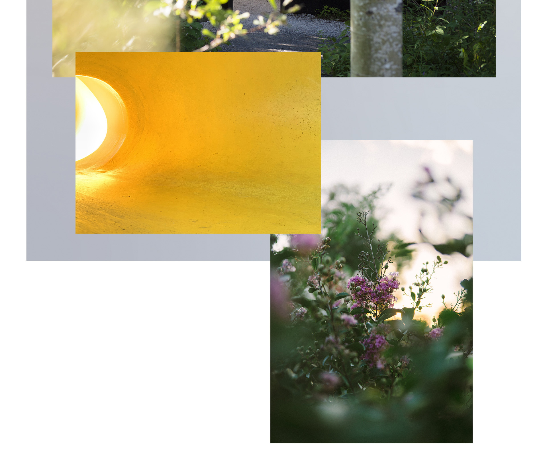 Métissages -  Arrangement photo