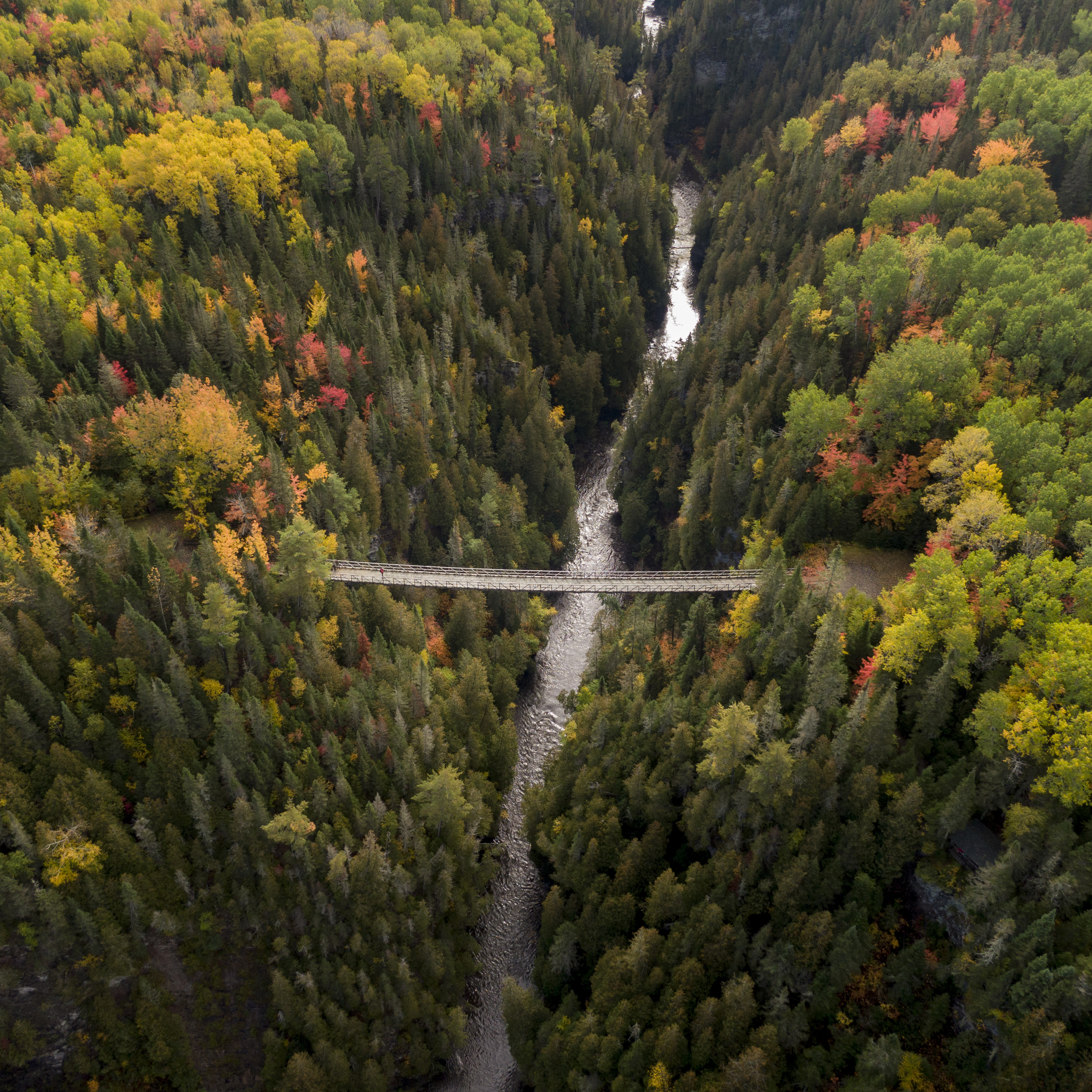 Terfa - identité de marque - photo pêche en chaloupe ©Antoine Proulx